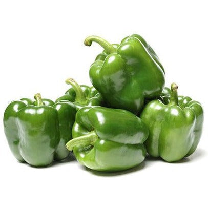 Green Capsicum (سبز شملہ) 25 Seeds