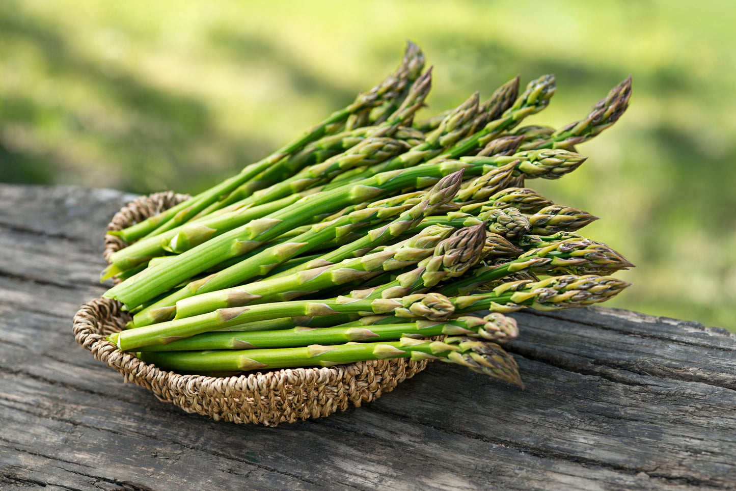 Asparagus (سفید موسلی) 15 Seeds