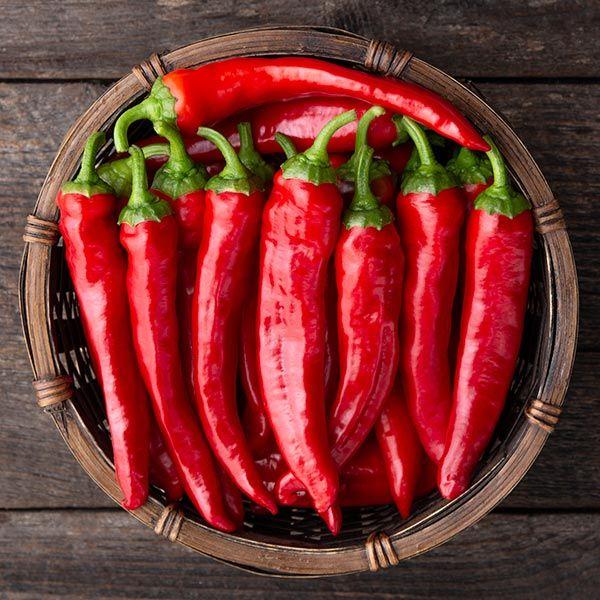 Caynne Peppers (ھاٹ چلی پیپرز) 10 Seeds