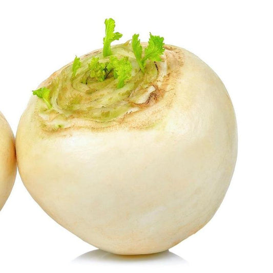 White Turnip (سفید شلجم) 30+ Seeds