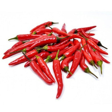 F1 Hybrid Thai Chili (تھائی چلی) 20 Seeds