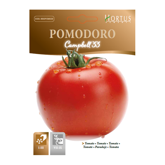 Hortus Pomodoro Campbell 33 Tomatoe