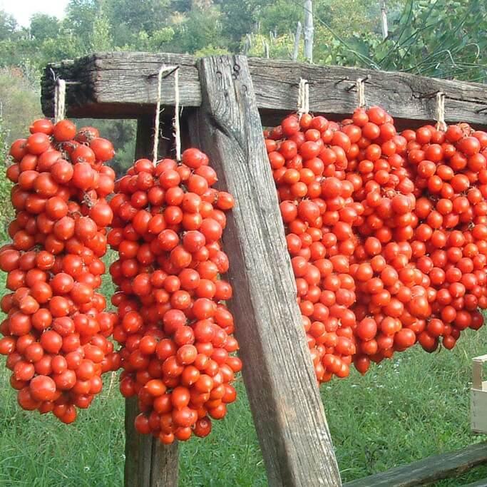 Hortus Pomodoro Principe Borghese Tomato 1gm