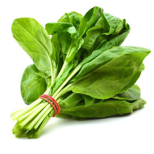 F1 Hybrid Spinach (پالک) 500+ Seeds