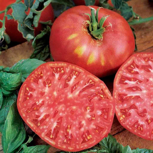 Brandywine Pink Tomatoes (برینڈی وائن ٹماٹر) 15 Seeds