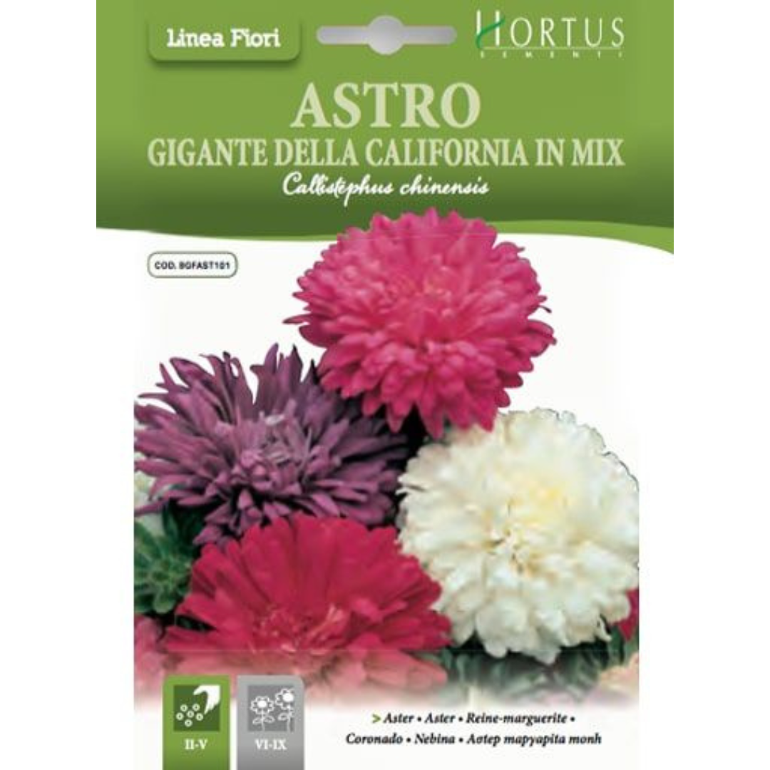 HORTUS ASTER GIANT CALIFORNIA MIX 1 GRAM