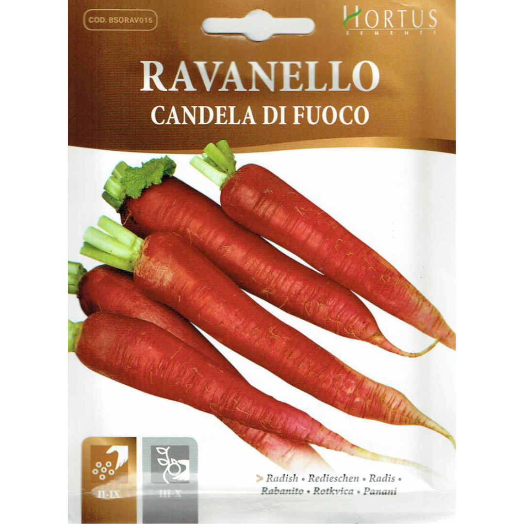 Hortus Red Radish long (Ramolaccio Candela Di Fouoco)