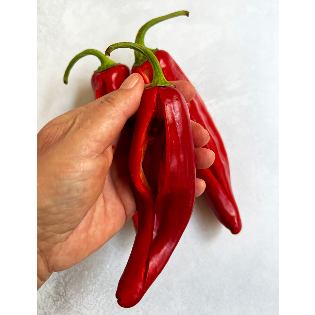 Peperone peppers (پیپرونی پیپرز) 10 Seeds