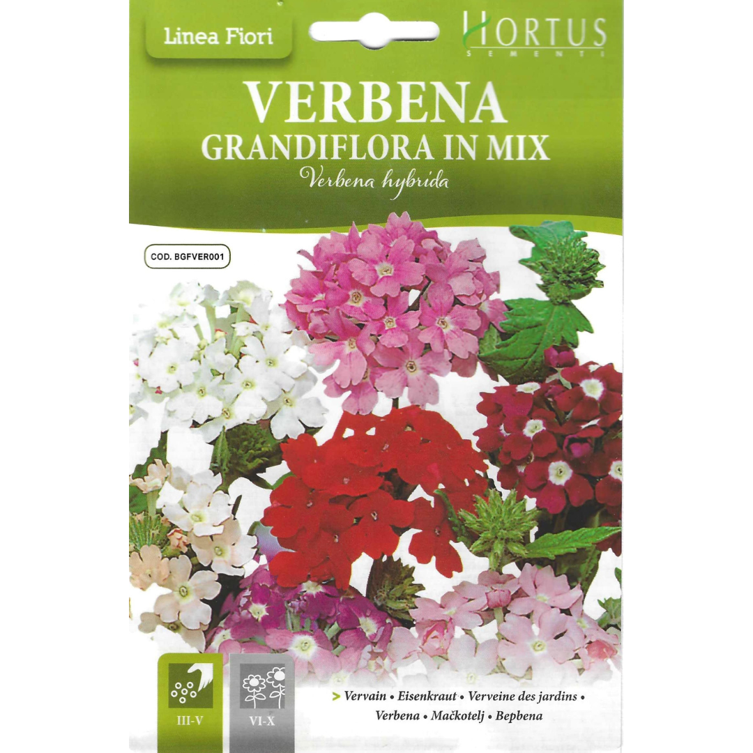 HORTUS VERBENA GRANDIFLORA MIX 0.50 GRAMS