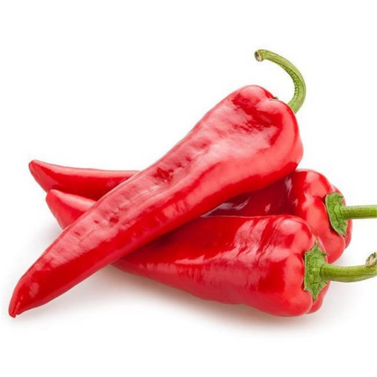 Peperone peppers (پیپرونی پیپرز) 10 Seeds