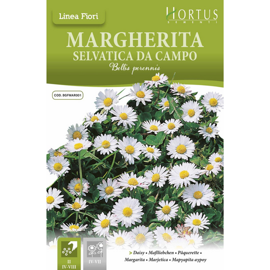 HORTUS DAISY SIMPLE WHITE 0.20 GRAMS