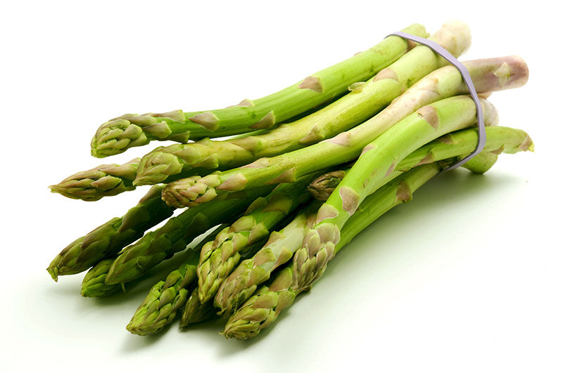 Asparagus (سفید موسلی) 15 Seeds