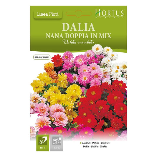 HORTUS DAHLIA DOUBLE MIX 0.40 GRAMS