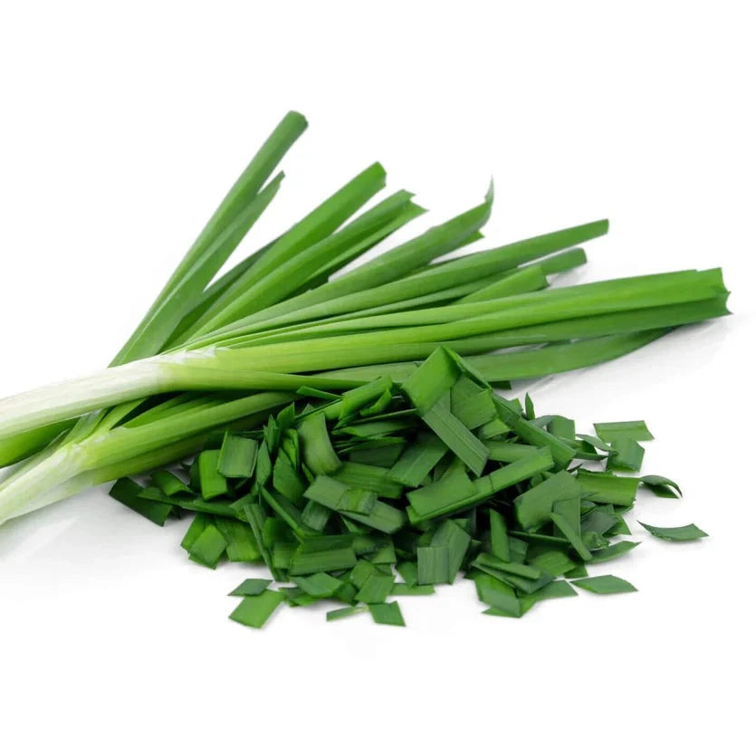 Chives ( چائیوز) 30 Seeds