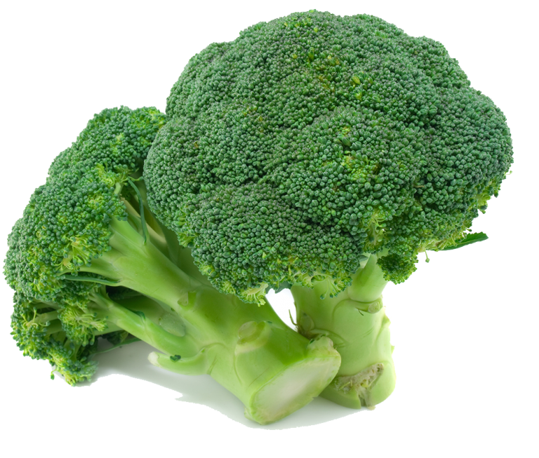 Broccoli (بروکلی) 25 Seeds