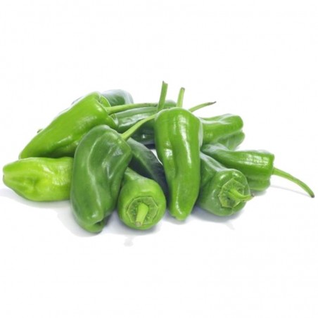 Hortus Peperone Dulce Italiano Peppers