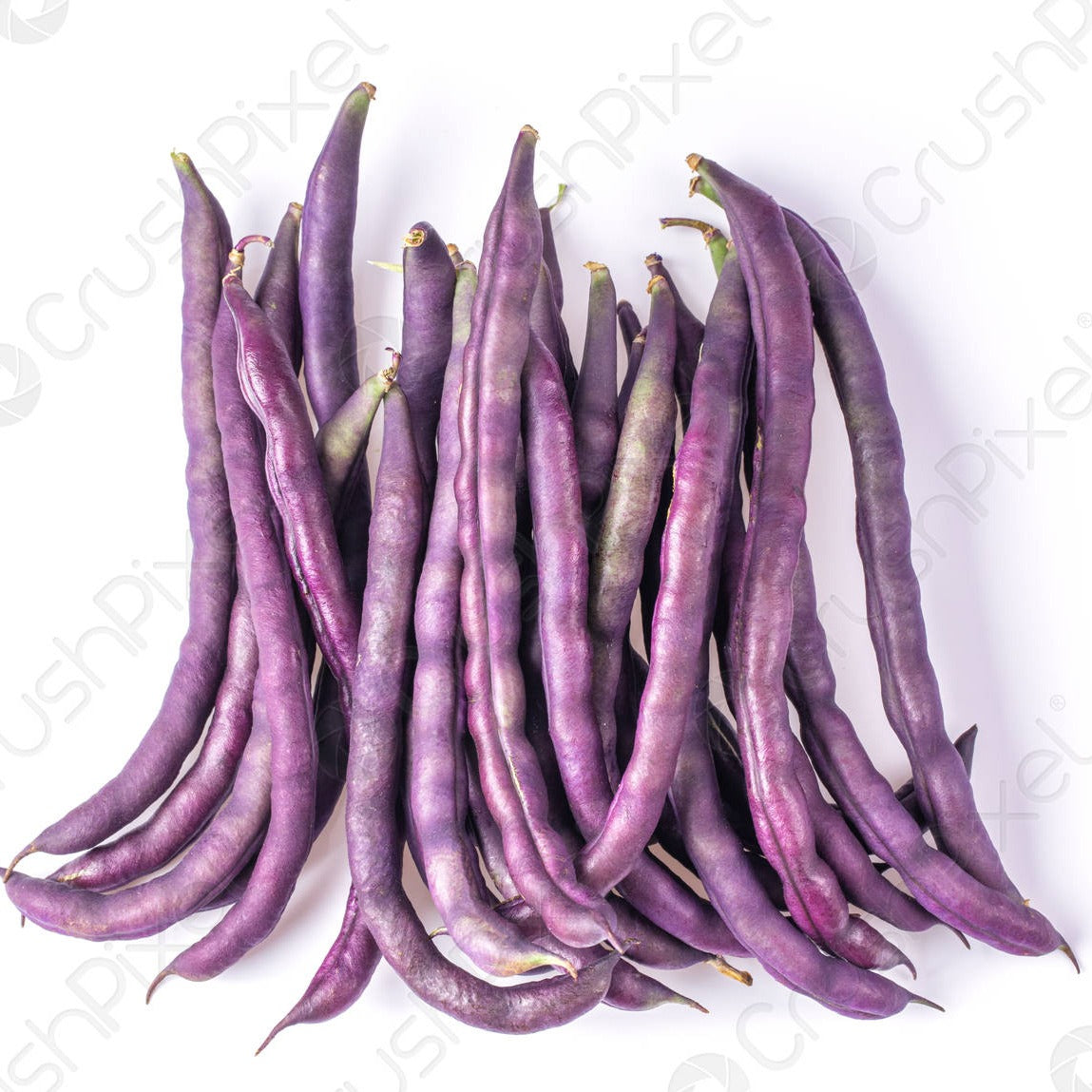 Purple Pole Bean (پرپل پول بین) 10 Seeds