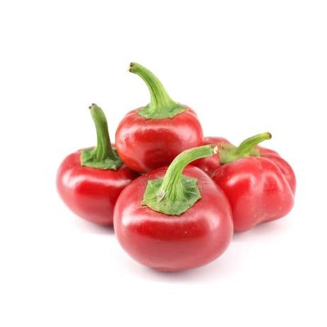 Peminto Peppers (پمینٹو پیپرز) 10 Seeds