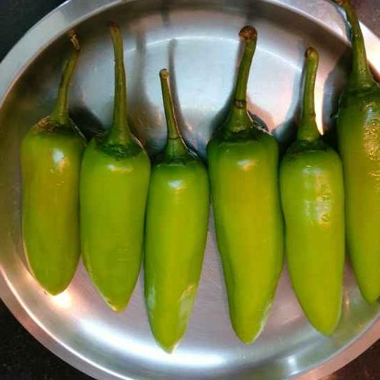 F1 Bullet Peppers (بلٹ مرچ) 20 Seeds