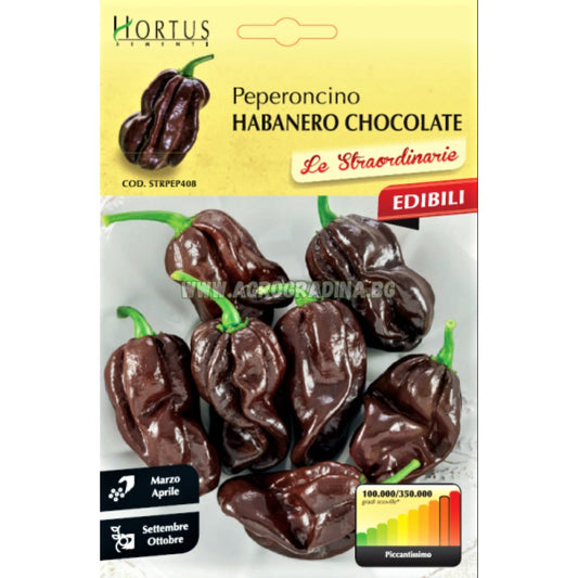 Hortus Organic Chocolate Habanero Pepper