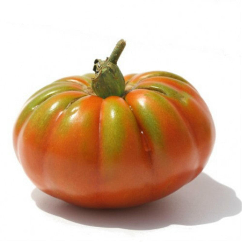 Hortus Pomodoro Pantano Romanesco Tomatoes 1gm